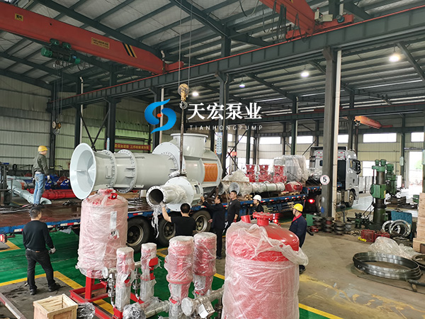 10萬(wàn)GT郵輪專(zhuān)用船塢排水泵客戶(hù)驗(yàn)收完成交付